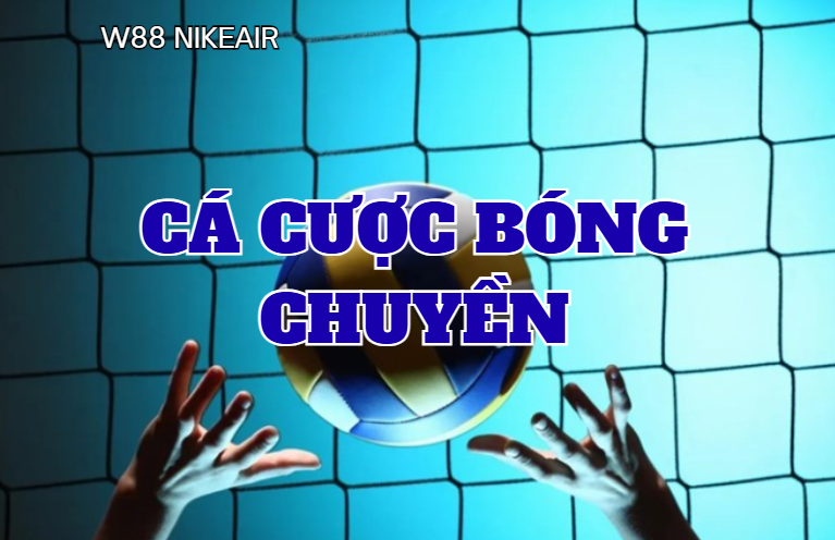 ca cuoc bong chuyen w88